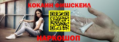 стаф Гатчина