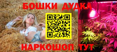 a pvp Гагарин