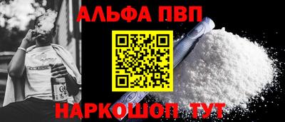 стаф Гатчина