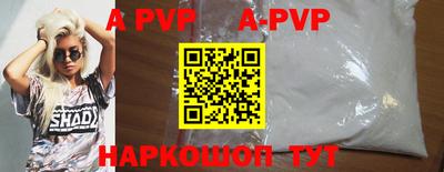стаф Гатчина