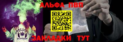 стаф Гатчина